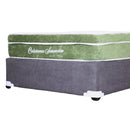 Set de Base y Colchón Individual